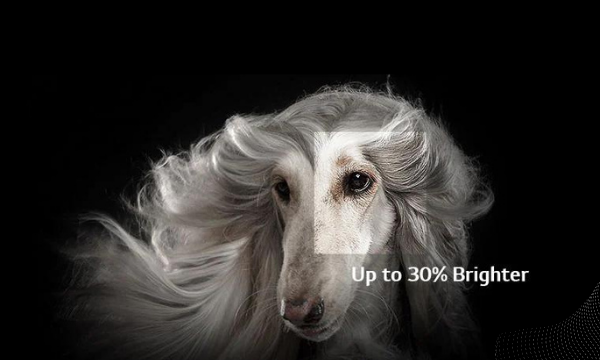 Smart Tivi OLED LG 4K 48 inch OLED48C2PSA