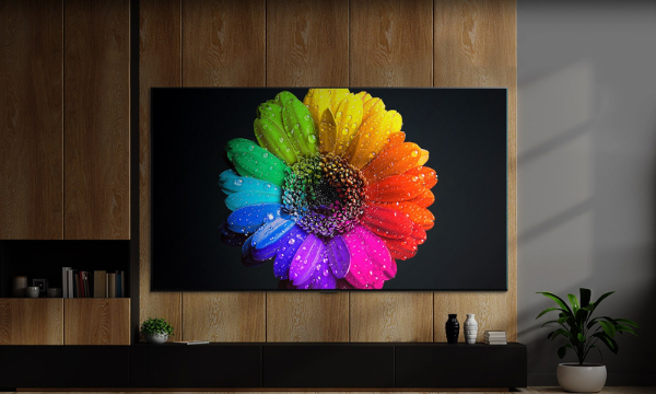 Smart Tivi QNED LG 4K 65 inch 65QNED80SQA