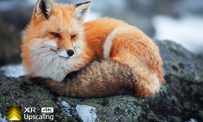 Google Tivi Sony 4K 55 inch XR-55X90J VN3 - XR 4K Upscaling