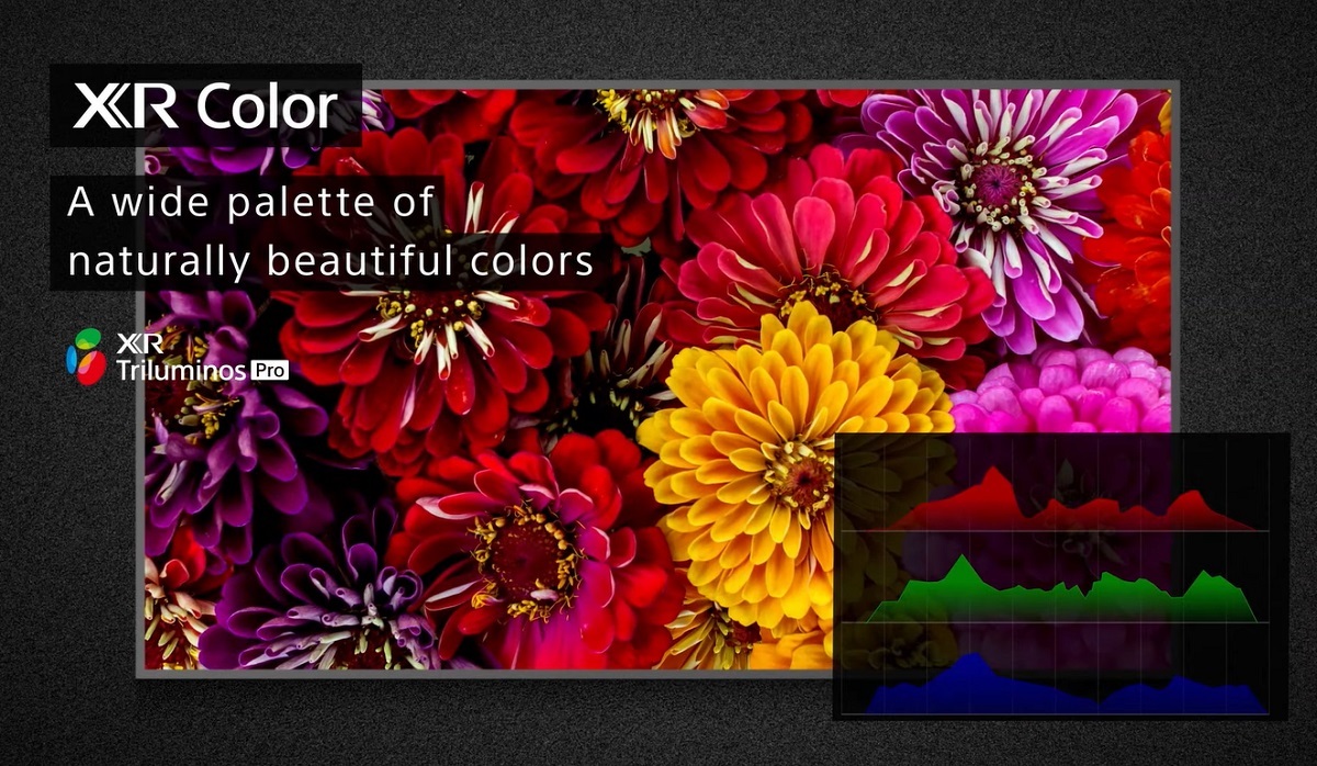 Tivi Sony 4K 65 inch - Công nghệ XR Triluminos PRO