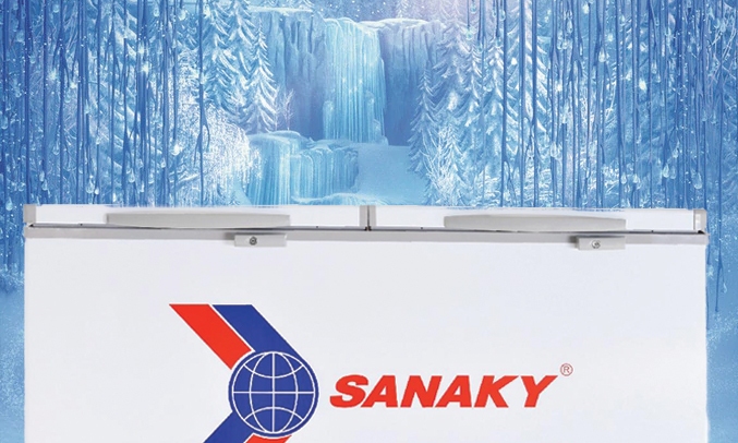 Tủ đông Sanaky 195 lít VH-255W2