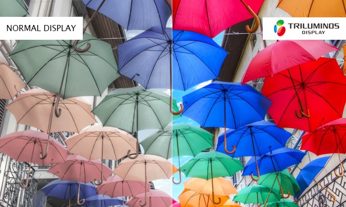 Tivi Sony KD-49X8500G hiển thị sống động rực rỡ