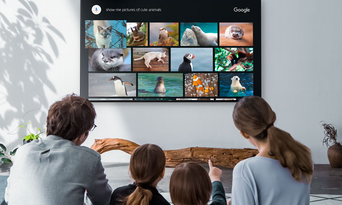 Smart tivi Sony KDL-49W800 49 inches