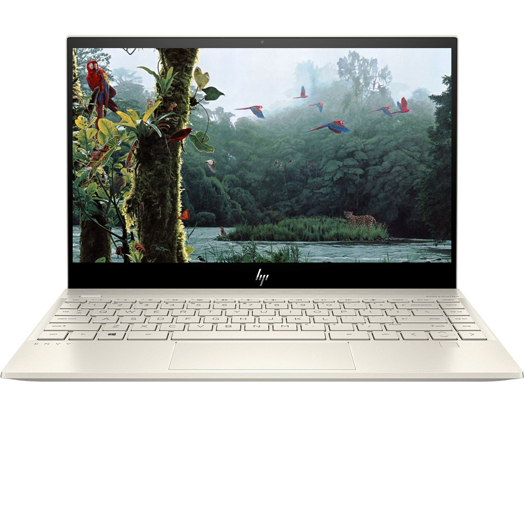 Laptop HP Envy 13-AQ1023TU i7-10510U 13.3 inch 8QN84PA